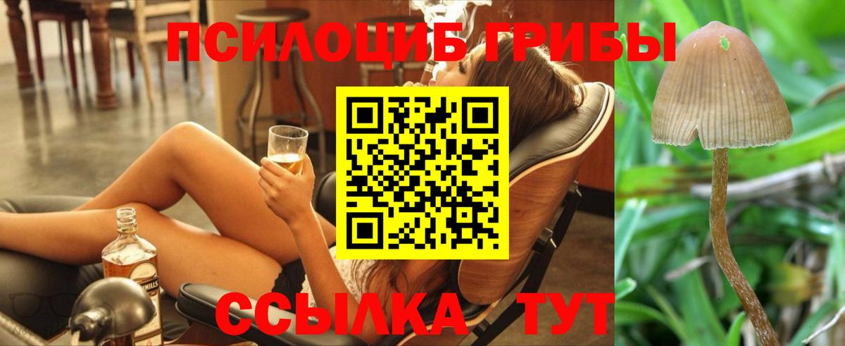 Елабуга  Галлюциногенные грибы ЛСД  как найти закладки  Вход с VPN 